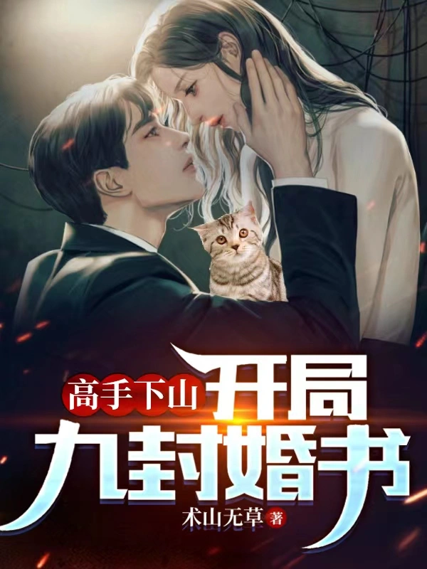高手下山:開局九封婚書