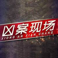 中國(guó)恐怖兇殺懸疑案件：兇案現(xiàn)場(chǎng) 特案調(diào)查組