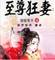 至尊狂妻