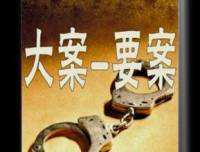 大案要案偵破實錄