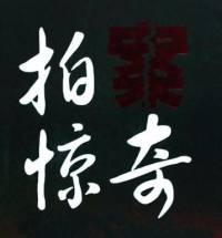 曉楠故事會——社會大案拍案驚奇