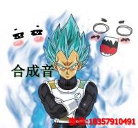 術士要低調-(合成)