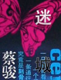 天機番外篇迷城