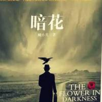 暗花 （諜戰(zhàn)小說）