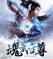 魂武至尊