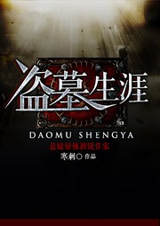 盜墓生涯