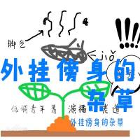 外掛傍身的雜草