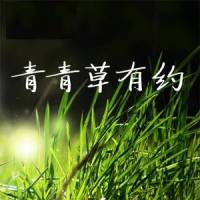 青青草有約