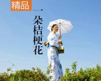 一朵桔梗花