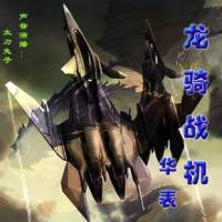 龍騎戰(zhàn)機(jī)