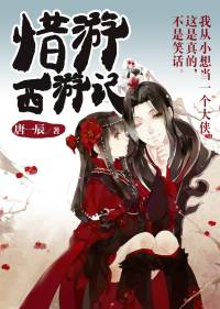 惜游西游記