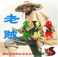 天下有賊