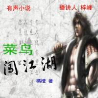 菜鳥(niǎo)闖江湖