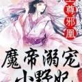 至尊邪凰，魔帝溺寵小野妃