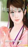 俏皮王妃酷王爺