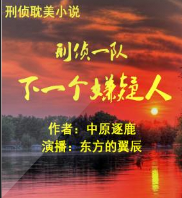 刑偵一隊(duì)：下一個(gè)嫌疑人