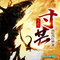 寸芒