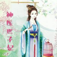 穿越小說 世子妃（已完）