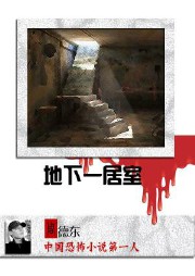 地下一居室