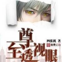 至尊透視眼