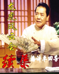 龍虎風(fēng)云會續(xù)集
