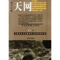 天網(wǎng)(艾寶良)