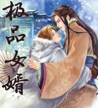 極品女婿