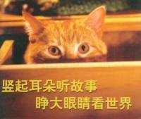離奇故事會2