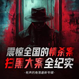 震驚全國的情殺案掃黑大案全紀(jì)實