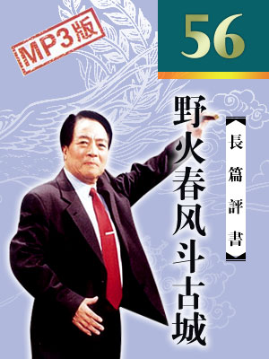 野火春風(fēng)斗古城(63年版)