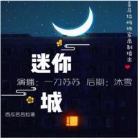 迷你城