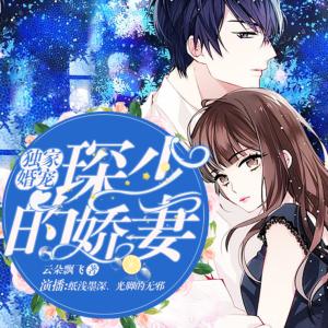 獨(dú)家婚寵:琛少的嬌妻
