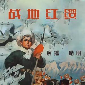 戰地紅纓
