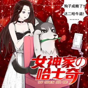 女神家的哈士奇