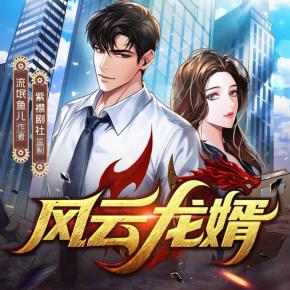 風(fēng)云龍婿
