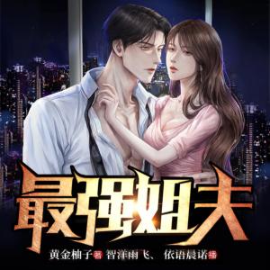 最強姐夫
