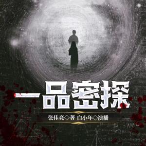 一品密探