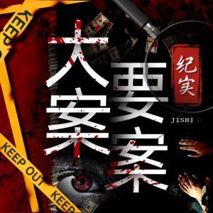 大案要案紀(jì)實(shí)