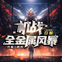 機(jī)戰(zhàn)：全金屬風(fēng)暴