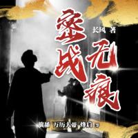 密戰(zhàn)無痕