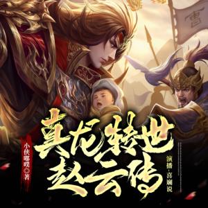真龍轉(zhuǎn)世趙云傳