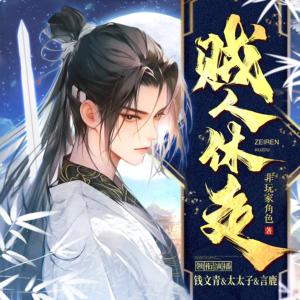 賊人休走