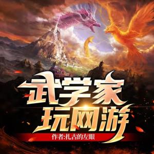武學(xué)家玩網(wǎng)游