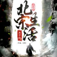 木子的北宋生活