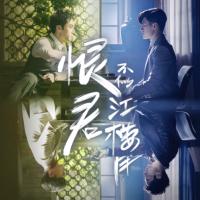 恨君不似江樓月