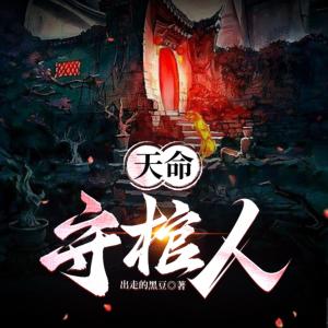天命守棺人