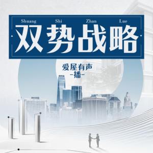 雙勢戰(zhàn)略