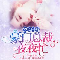 99億閃婚:豪門總裁夜夜忙