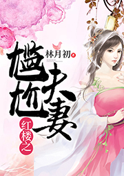 紅樓之尷尬夫妻