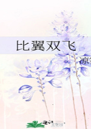 比翼雙飛